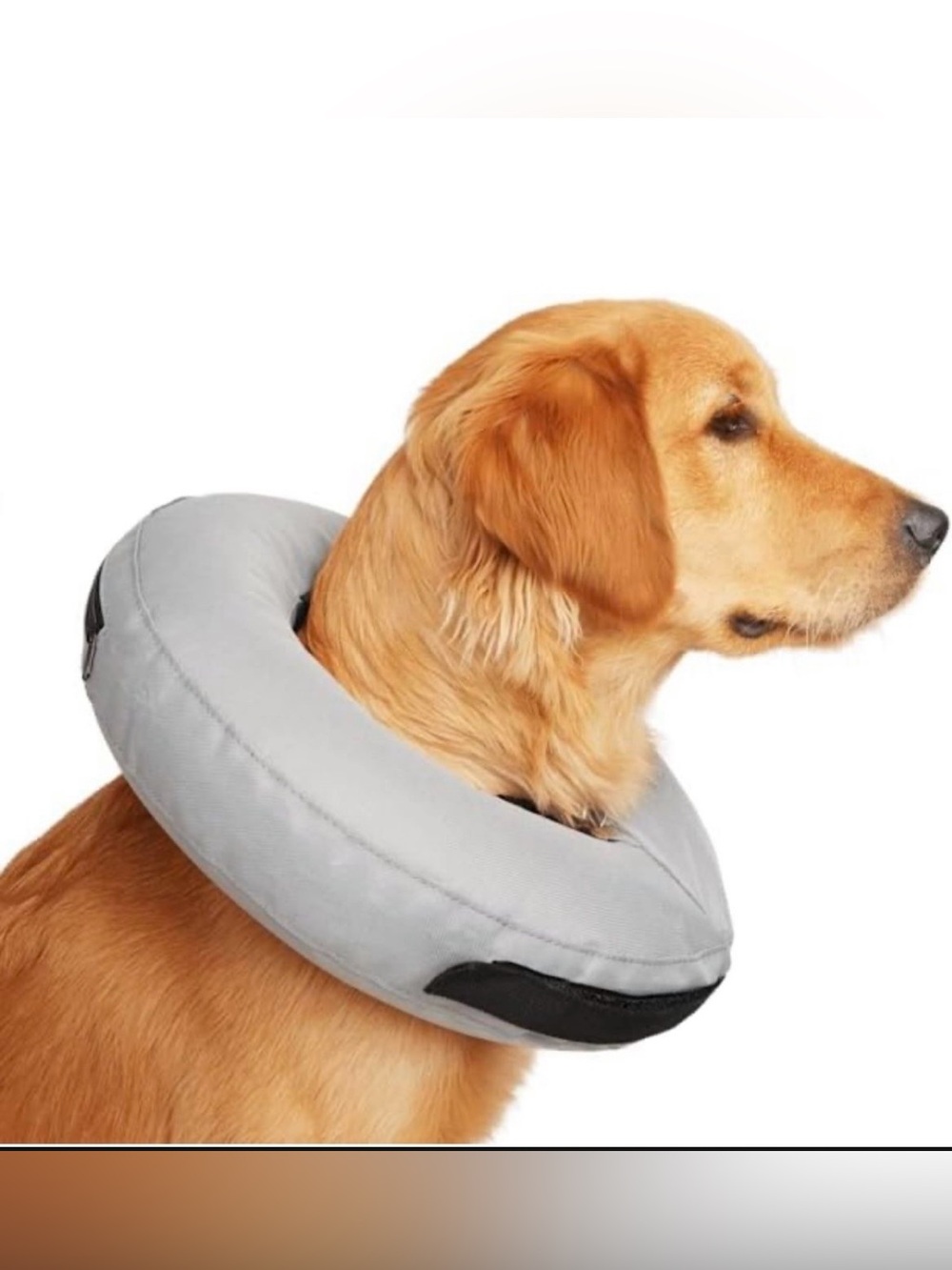 Well & Good Inflatable Collar for Dogs and Cats, XX-Small
BRAND NEW• Retails
For